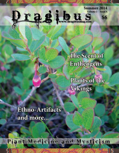 Dragibus Mag - Plants of the Vikings, the Scent of Entheogens, Ethno-Artifacts