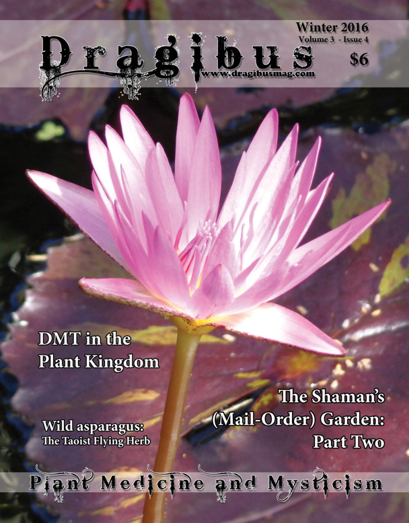 Dragibus Magazine - Volume 3 Issue 4