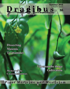 Dragibus V4I1