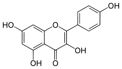 Kaempferol The Flavonoids Kaempferol