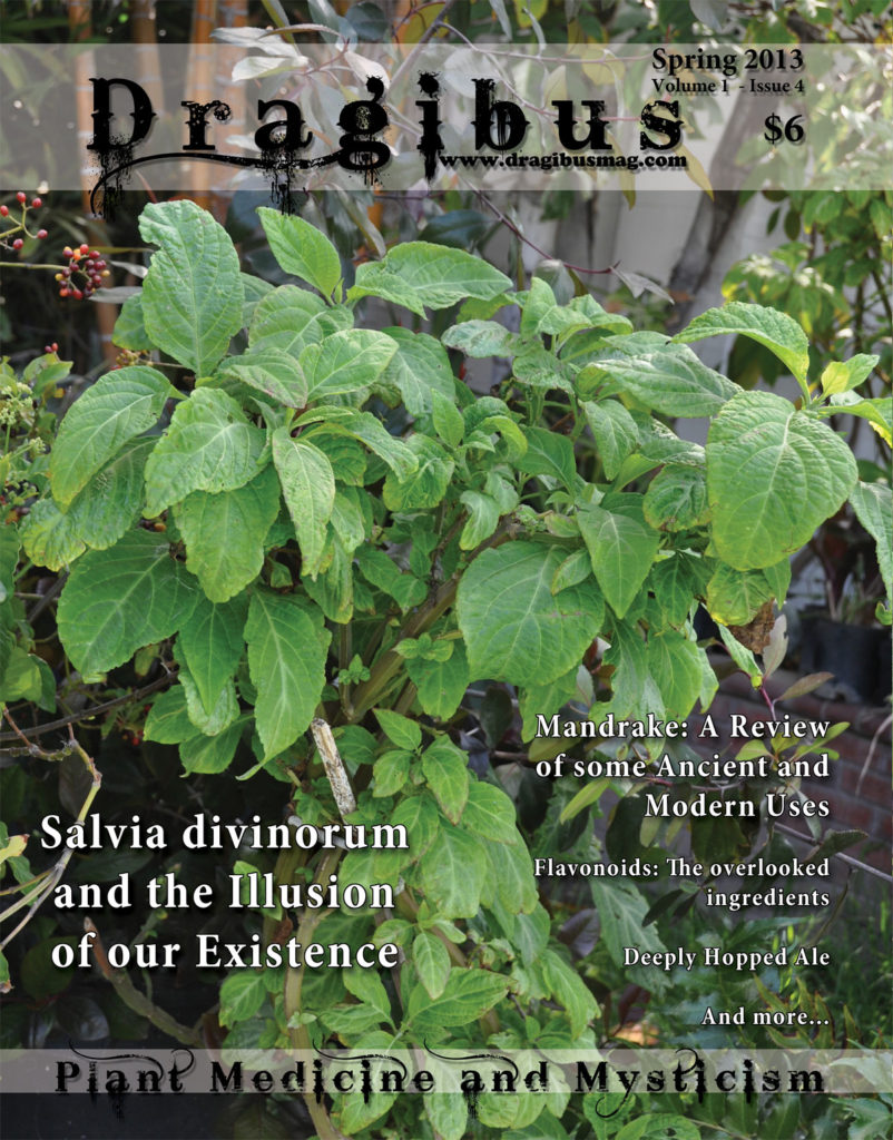 This article first appeared in Volume 1 Issue 4 of Dragibus Magazine Salvia divinorum And The Illusion Of Our Existence, Ancient and Modern uses of Mandrake, a look at Flavonoids, Deeply Hopped Ale and more…